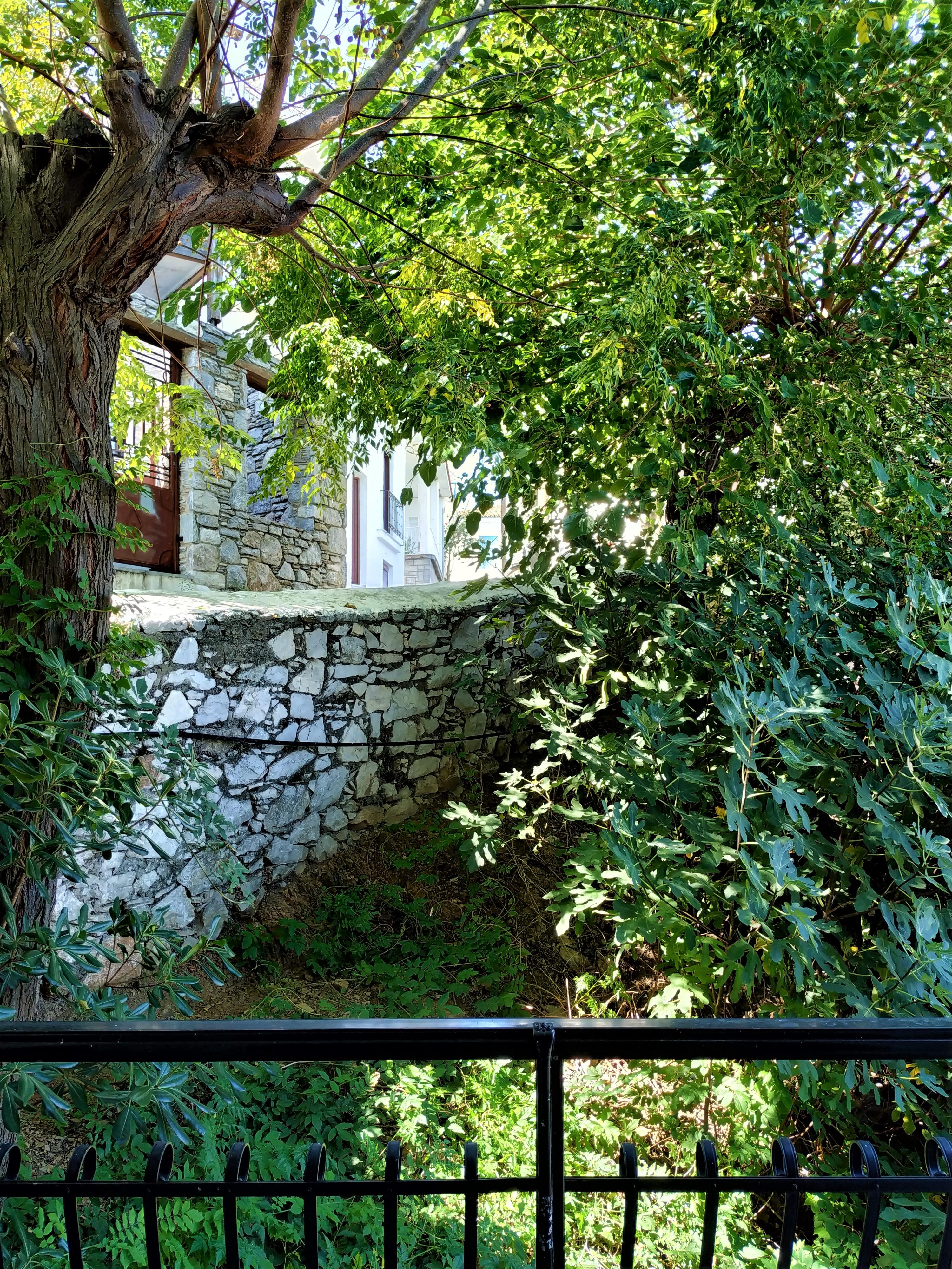 Argo Pension Skiathos-Stadt Exterior foto