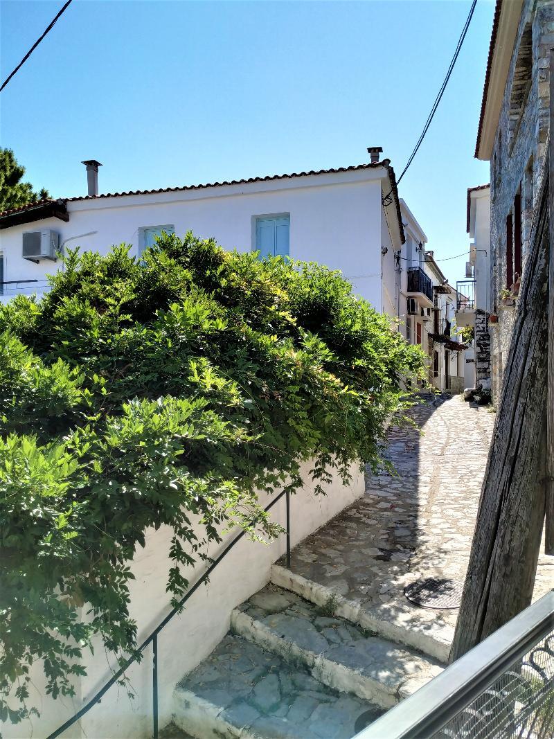 Argo Pension Skiathos-Stadt Exterior foto